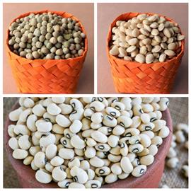 Green Peas + Beans + Eye pea Combo