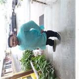 Sabresh Mouli 