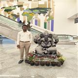 Vignesh N
