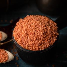 Dried Ginger Palm Jaggery