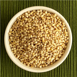 Great Millet (jowar) - 500 g