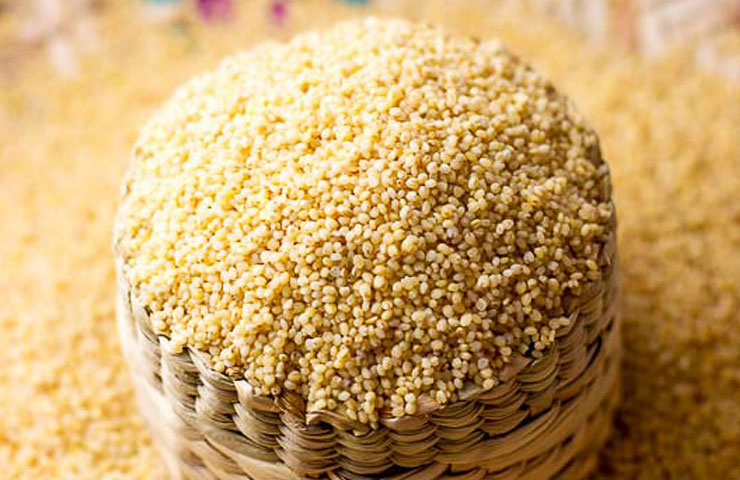 Thinai Arisi (Foxtail Millet) - 800 g