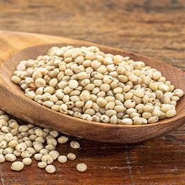 Great Millet (jowar) - 500 g