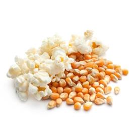 Corn Kernels Seed - 800 g