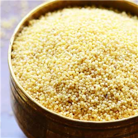 Horse Gram + Foxtail Millet + Varagu 