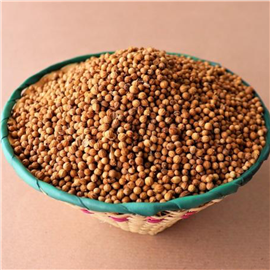 Dried Red Chilli + Coriander Combo 