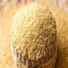 Thinai Arisi (Foxtail Millet) - 800 g