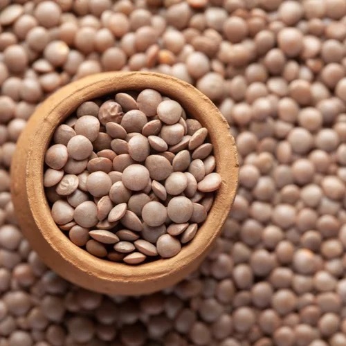 Unpolished Masoor Dal - 800 g