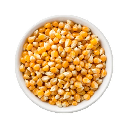 Corn Kernels Seed - 800 g