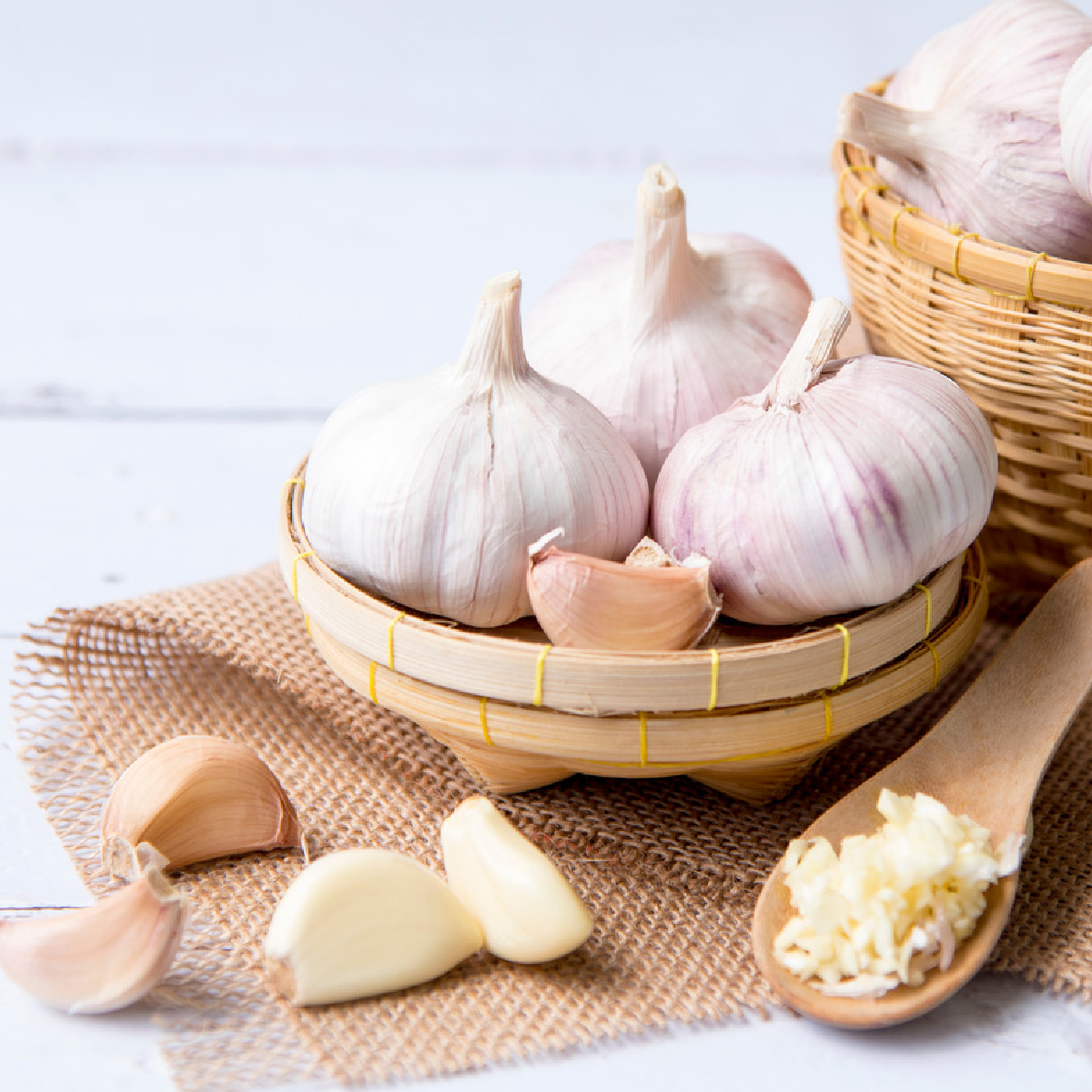 Garlic