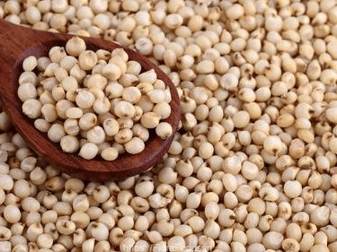 Great Millet (jowar) - 500 g