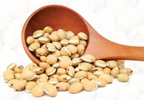 White Lima Beans - 800 g