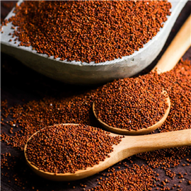 Finger Millet (Ragi) - 500 g