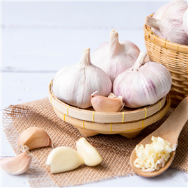 Garlic