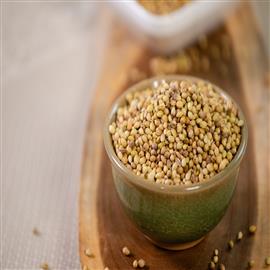 Coriander Seed - 400 g
