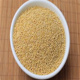 Thinai Arisi (Foxtail Millet) - 800 g