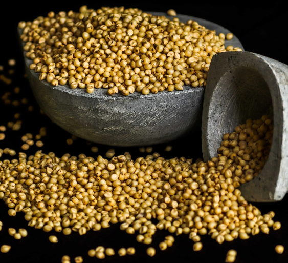Great Millet (jowar) - 500 g