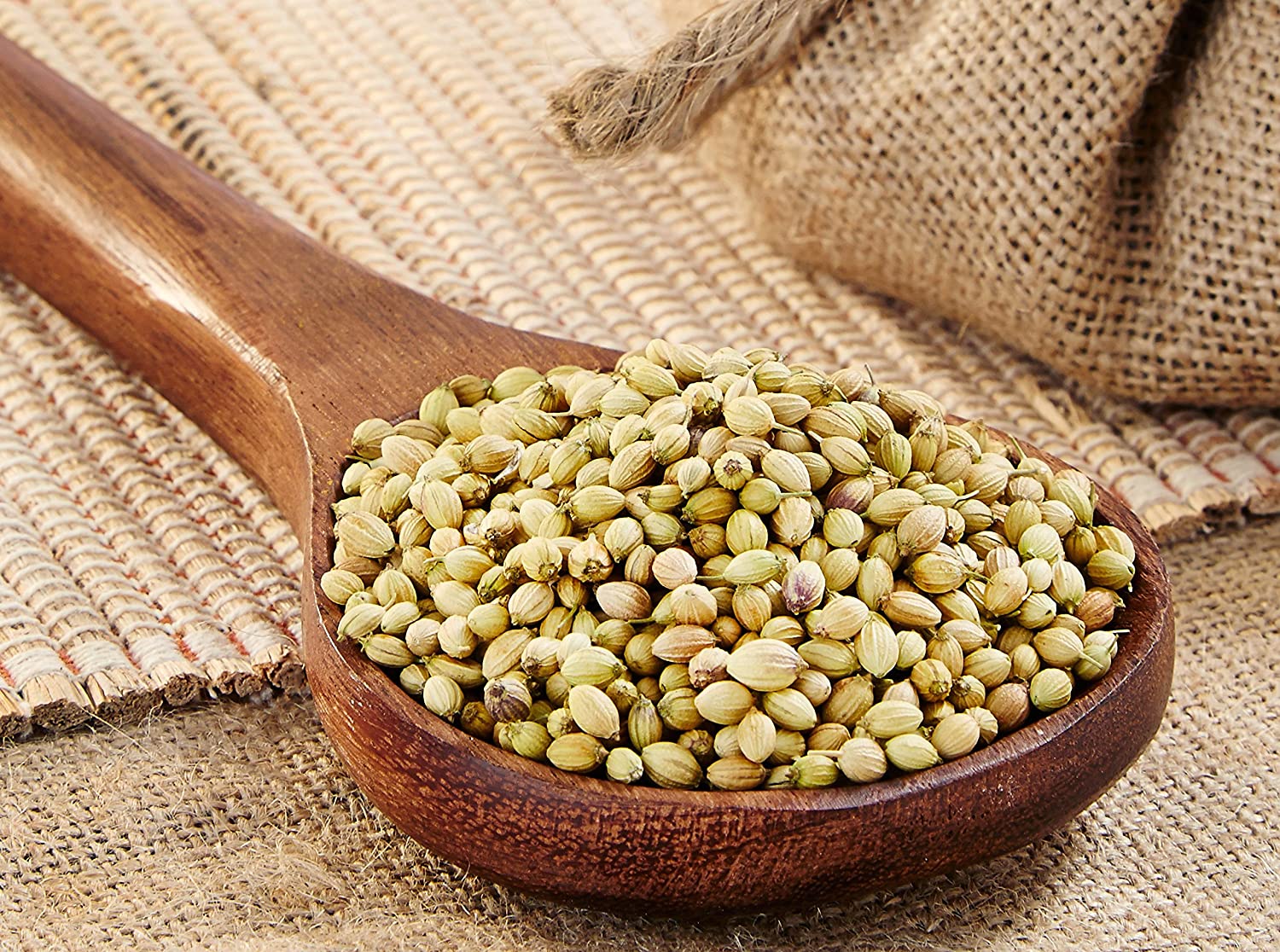 Coriander Seed - 400 g