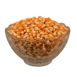 Corn Kernels Seed - 800 g
