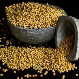 Great Millet (jowar) - 500 g