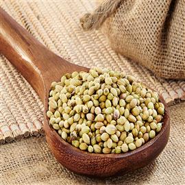 Coriander Seed - 400 g