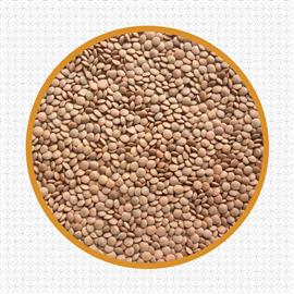 Unpolished Masoor Dal - 800 g